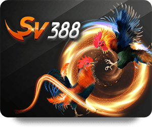 So Sánh VF555 Tỷ Lệ Vàng Với Các Tỷ Lệ Khác